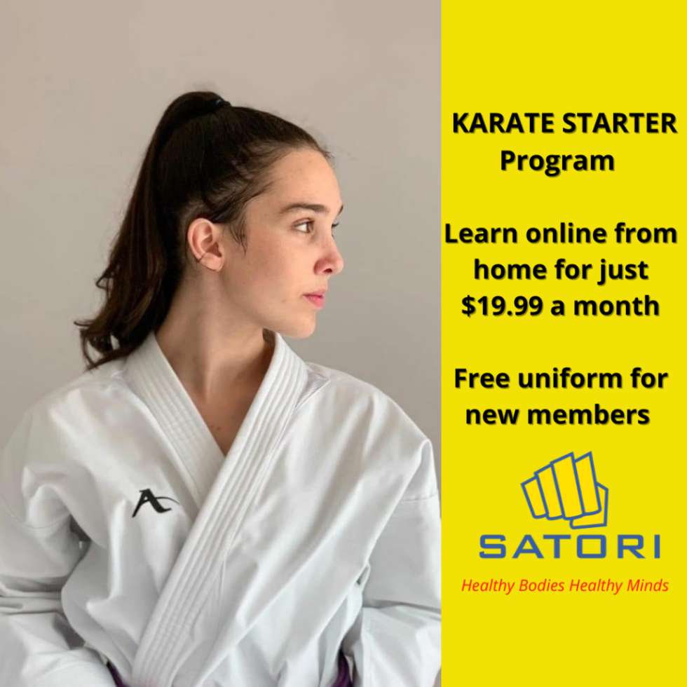 LEARN KARATE WORLD WIDE Satori Martial Arts